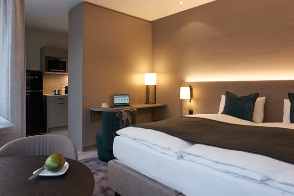 Studio Apartment möbliert und neu renoviert in Zürich Oerlikon 1