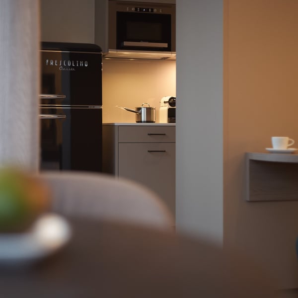 Studio Apartment möbliert und neu renoviert in Zürich Oerlikon 7