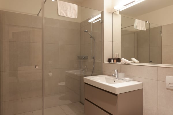 Studio Apartment Suite möbliert und neu renoviert in Zürich Oerlikon 4