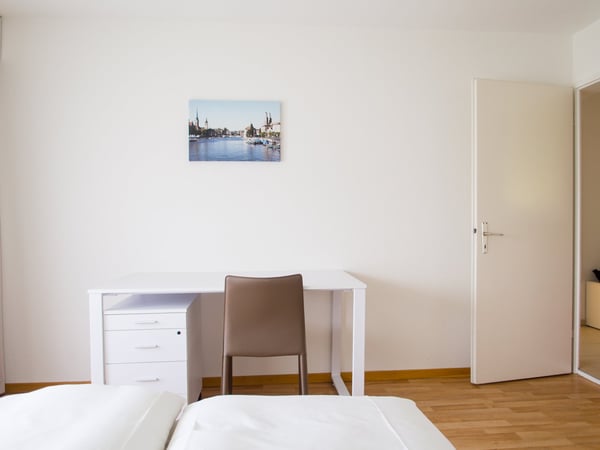 Furnished 1-bedroom Apartment / Möbliertes 1-Zimmer Apartment 4