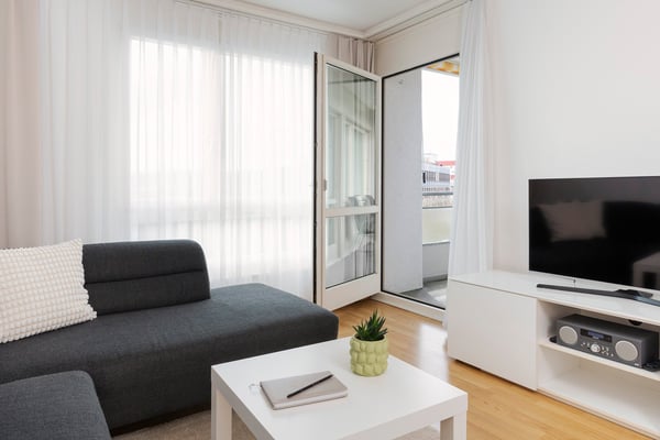 Furnished 1-bedroom Apartment / Möbliertes 2-Zimmer Apartment 4