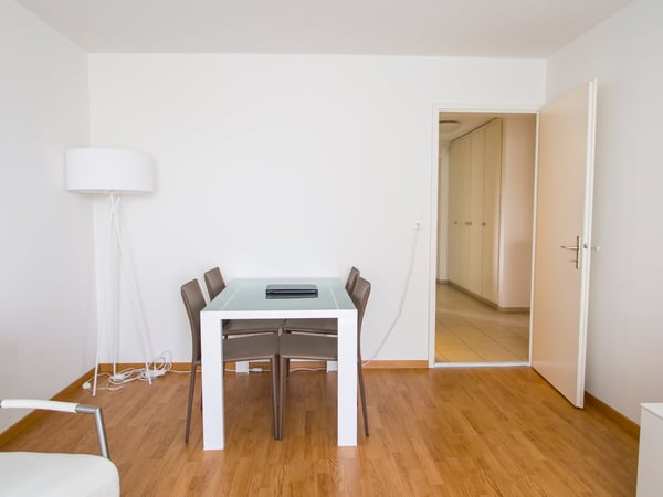 Furnished 1-bedroom Apartment / Möbliertes 1-Zimmer Apartment 2