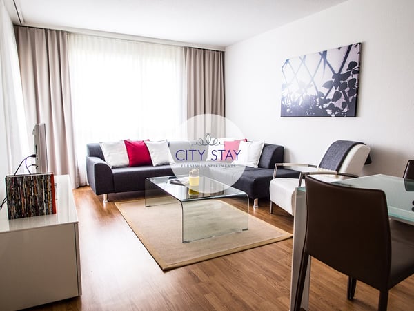Furnished 1-bedroom Apartment / Möbliertes 1-Zimmer Apartment 1