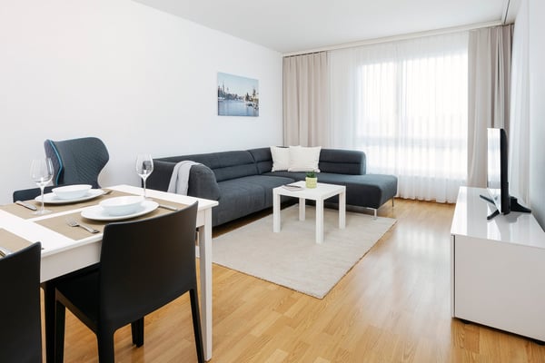 Furnished 1-bedroom Apartment / Möbliertes 2-Zimmer Apartment 6