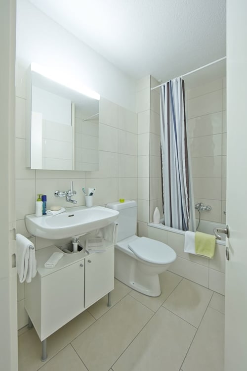 Furnished studio Apartment near Hirslanden, Balgrist / Möbliertes Studio-Apartment 3