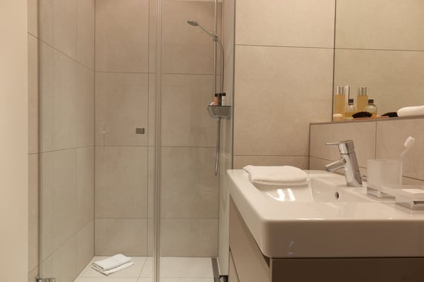 Studio Penthouse Apartment möbliert und neu renoviert in Zürich Oerlikon 2
