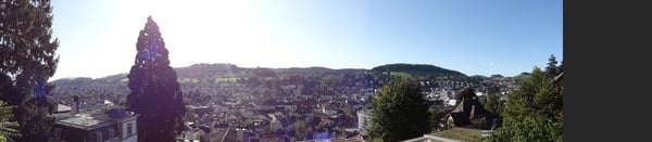 Gemütliche 1-Zimmer-Wohnung im Herzen von St. Gallen 1