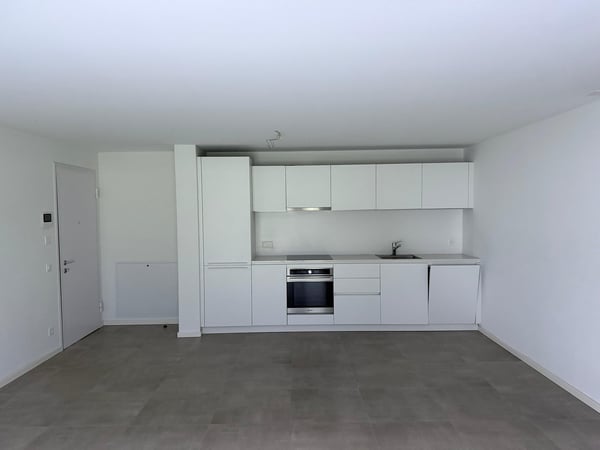 APP n 1 Brand New 2-Room Apartment in Iragna – Modern, Accessible & Pet-Friendly 5