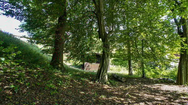 Ein- oder Zweifamilienhaus mit großem Grundstück 6