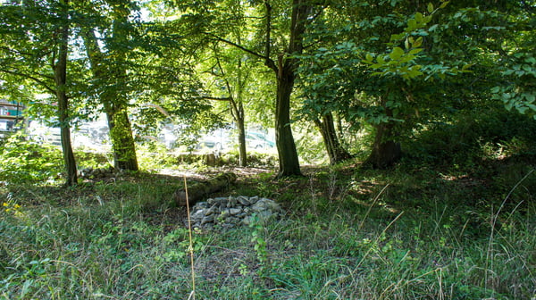 Ein- oder Zweifamilienhaus mit großem Grundstück 5