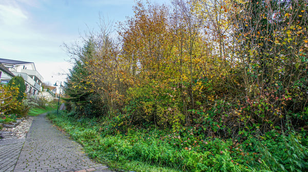 Bauparzelle mit bestehendem Zweifamilienhaus 11