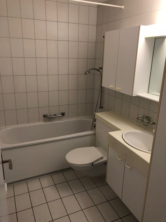 Schöne 1.5 ZWHG in Familienfreundlicher Überbauung 9