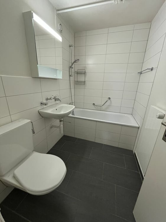 1.5 Zi WG neuwertige Küche, kinderfreundlich, schöne Aussicht 4