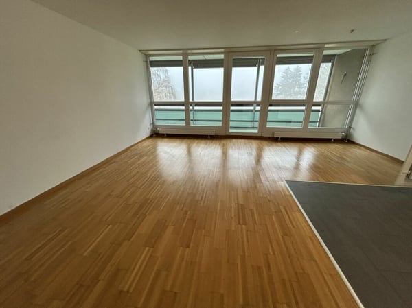 1.5 Zi WG neuwertige Küche, kinderfreundlich, schöne Aussicht 2