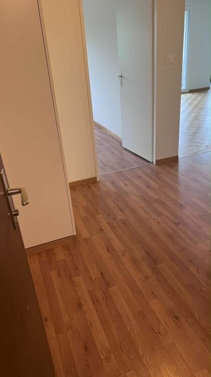 schöne helle 2 1/2 Zimmer Wohnung 3