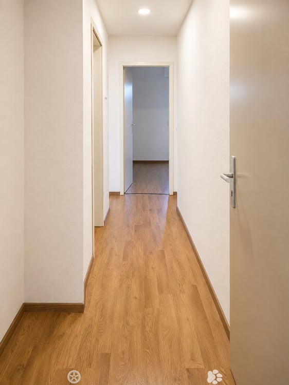 Helle 3.5-Zimmer-Wohnung im 4. Stock in Biel – ab sofort verfügbar! 6