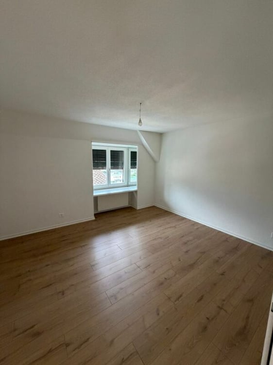 Erstbezug -  Frisch sanierte 3.5 Zimmer-Wohnung jetzt zu vermieten! 2