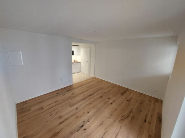 Helle Studio-Neubauwohnung beim Escher Wyss Platz - Erstvermietung 1