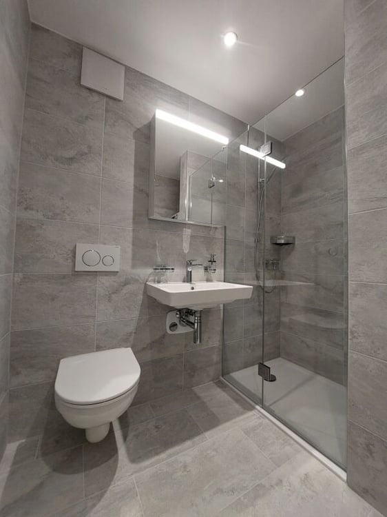 Helle Studio-Neubauwohnung beim Escher Wyss Platz - Erstvermietung 4