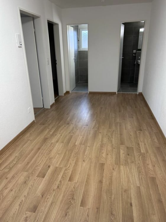 3.5 Zi-Dachwohnung, Lift, top Aussicht 5