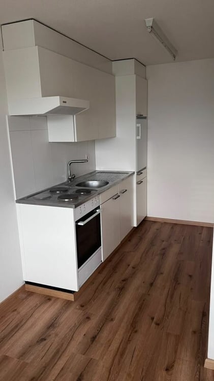 Schöne helle 2 1/2 Zimmer Wohnung 3