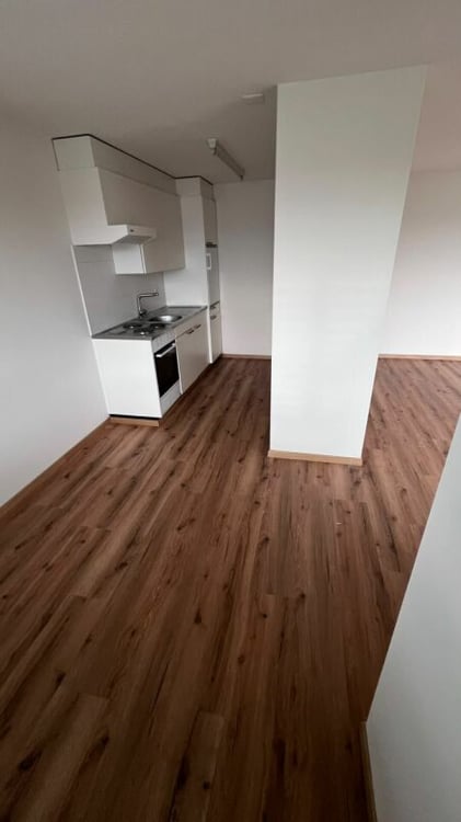 Schöne helle 2 1/2 Zimmer Wohnung 1