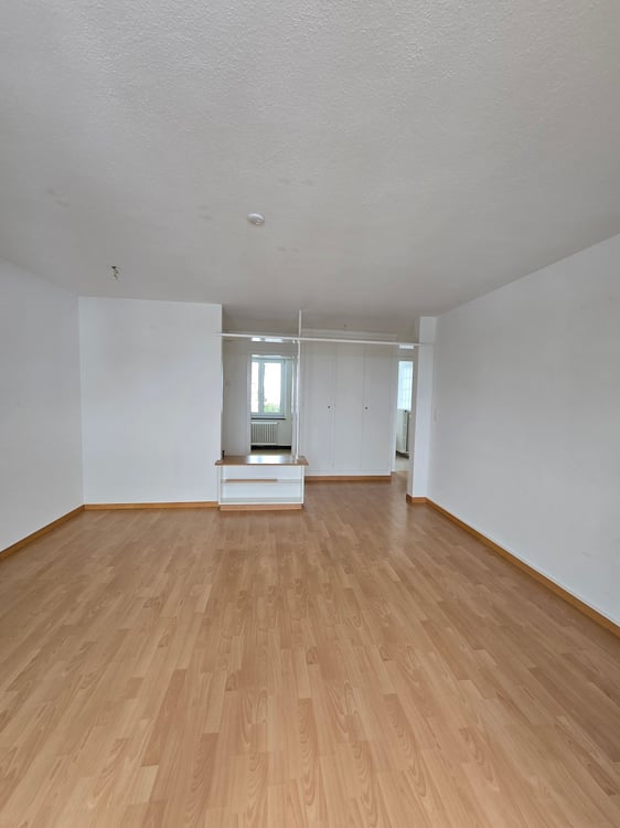 Tolle 3-Zimmer-Wohnung mit Balkon in Wald ZH 4