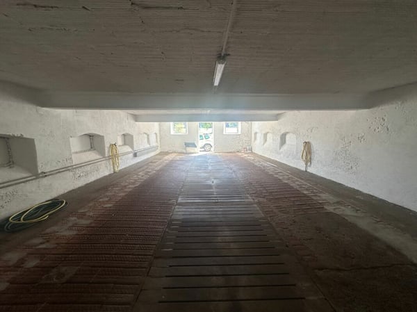 100 M2 LAGERRAUM ZU VERMIETEN 3