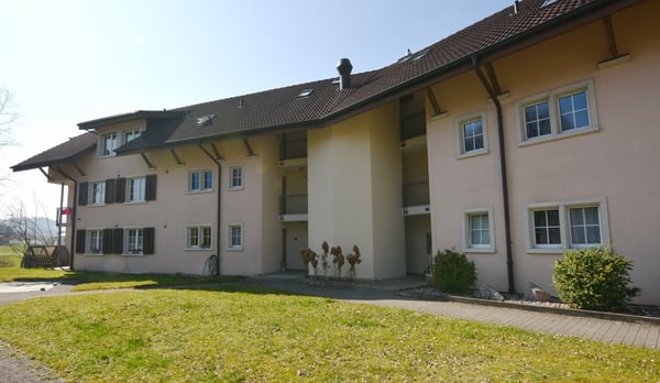 Charmante 4.5-Zimmer-Wohnung in Hermetschwil-Staffeln 11