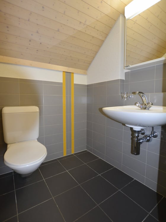 Charmante 4.5-Zimmer-Wohnung in Hermetschwil-Staffeln 10