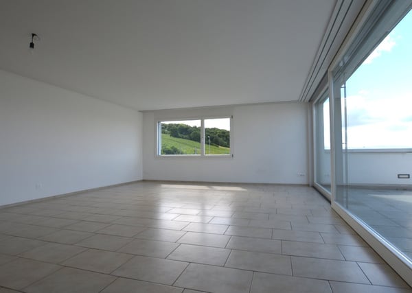 Attraktive 4.5-Zimmer-Attika-Wohnung mit Fernsicht 4