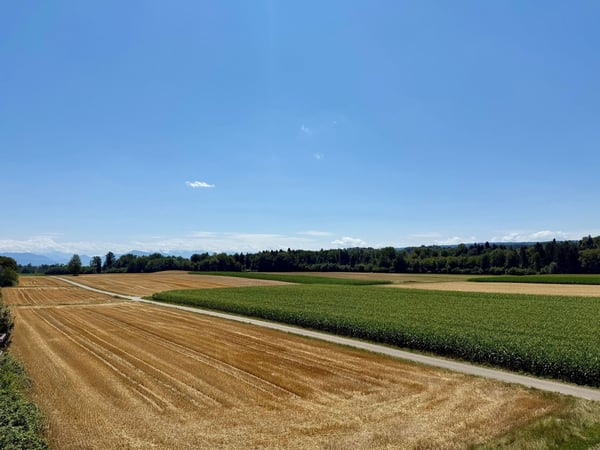 Grosszügige 5.5-Zimmerwohnung mit Terrasse, Bergsicht und Schwedenofen 4