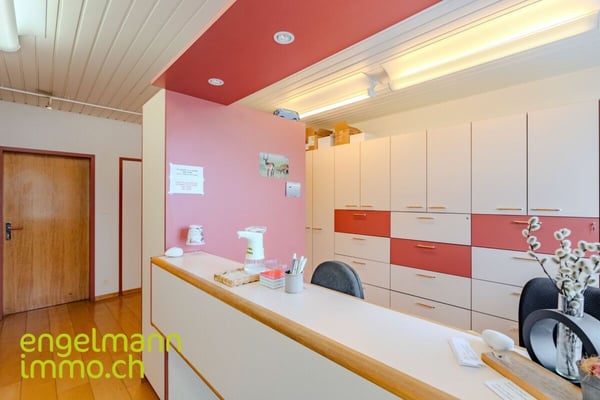 Objet de placement: locaux commerciaux, garage et atelier / Renditeobjekt: Geschäftsräume, Garage und Atelier 6