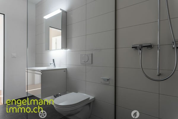 3.5 Zimmerwohnung / Appartement de 3.5 pièces 6
