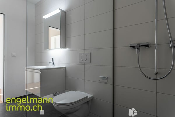 3.5 Zimmerwohnung / Appartement de 3.5 pièces 6
