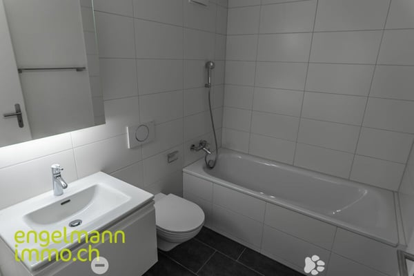 3.5 Zimmerwohnung / Appartement de 3.5 pièces 5