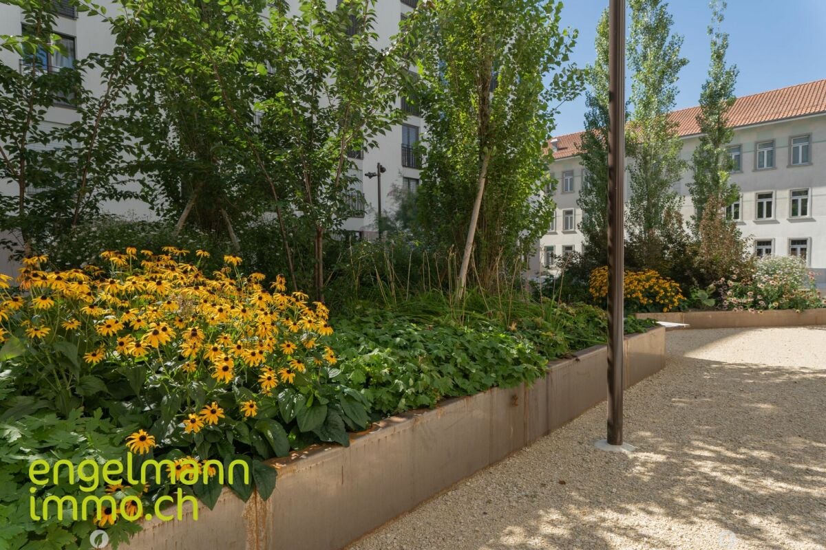 3.5 Zimmerwohnung / Appartement de 3.5 pièces