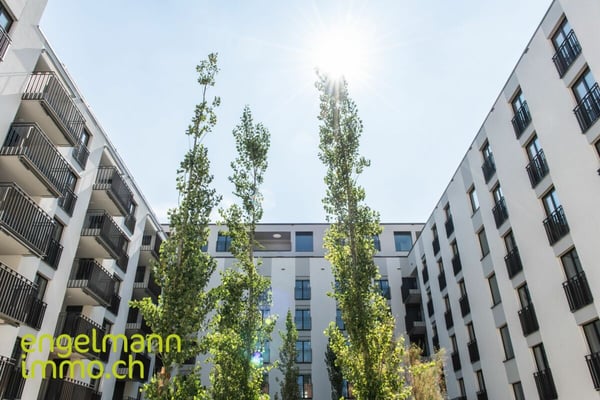 3.5 Zimmerwohnung / Appartement de 3.5 pièces 8