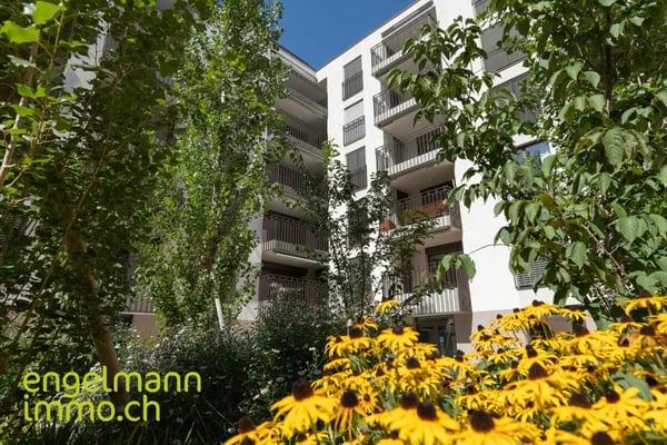 3.5 Zimmerwohnung/ Appartement de 3.5 pièces 10