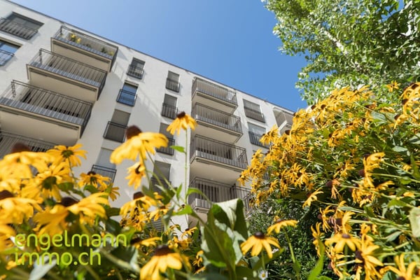 3.5 Zimmerwohnung/ Appartement de 3.5 pièces 8