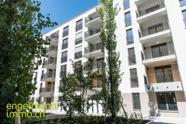 3.5 Zimmerwohnung/ Appartement de 3.5 pièces 9