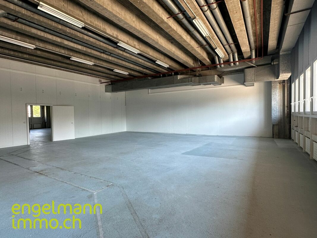 Gewerbefläche / Surface commerciale