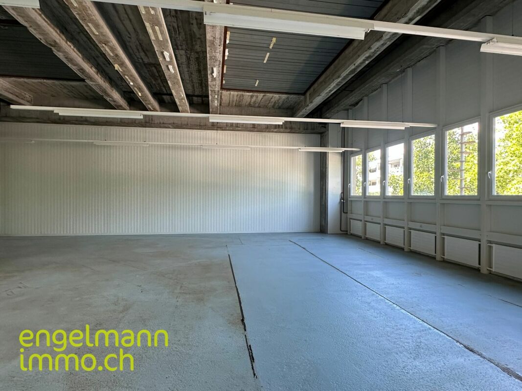 Gewerbefläche / Surface commerciale