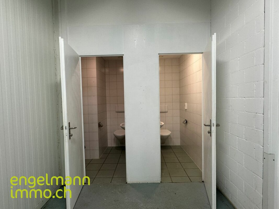 Gewerbefläche / Surface commerciale