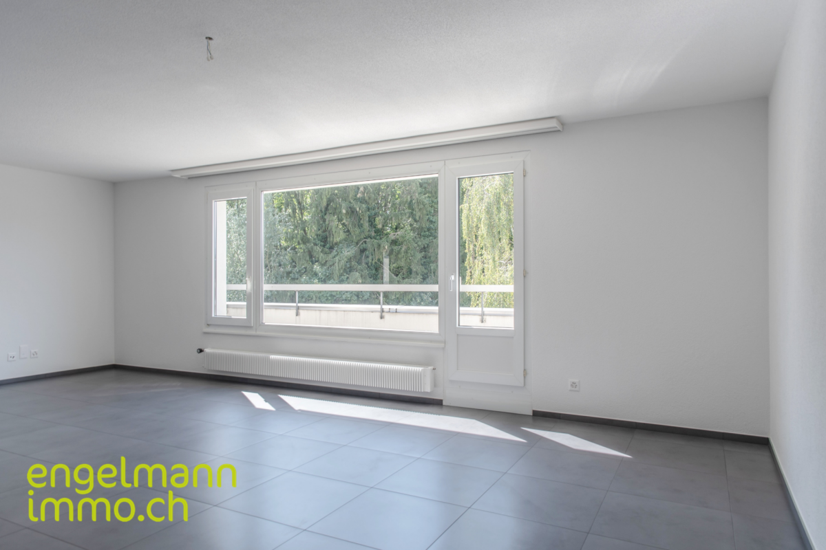 4 Zimmer-Attikawohnung / Appartement de 4 pièces en attique
