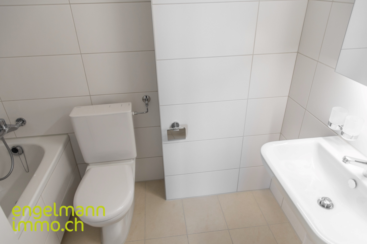 4 Zimmer-Attikawohnung / Appartement de 4 pièces en attique