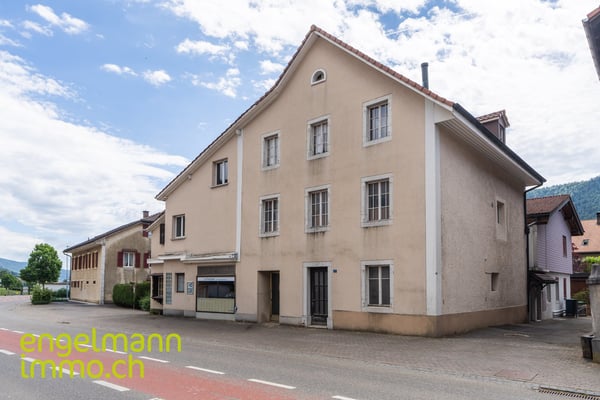 Immeuble de 2 appartements + surface commerciale / 2-Familienhaus mit Geschäftsfläche 2