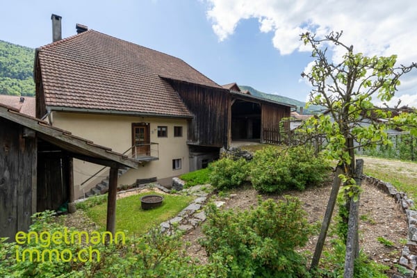 Ancienne ferme de 2 appartements avec grand terrain constructible / Ehemaliges Bauernhaus mit 2 Wohnungen und Bauparzelle 3