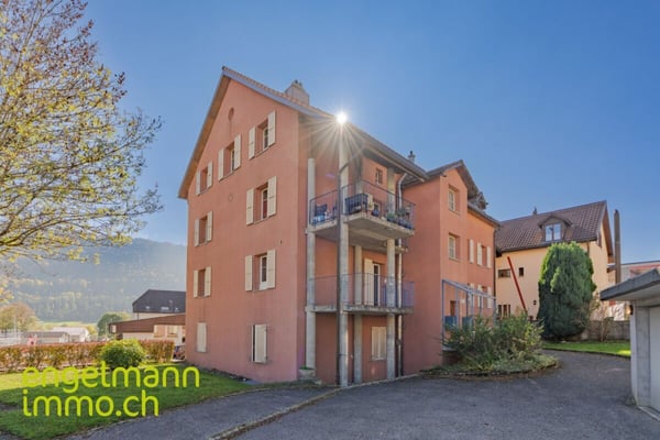 Spacieux appartement en duplex de 8.5 pièces / Grosse 8.5-Zimmer Duplexwohnung 1