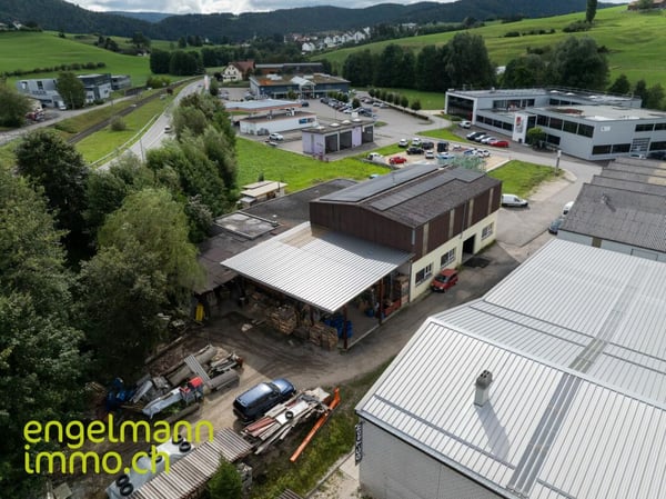 Immeuble industriel / Industrieflächen 3